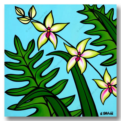 “HAWAIIAN BOTANICAL” SERIES ORCHID