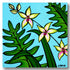 “HAWAIIAN BOTANICAL” SERIES ORCHID