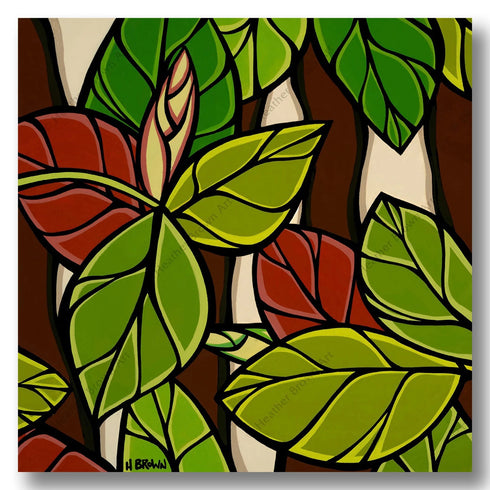 “HAWAIIAN BOTANICAL” SERIES BANYAN