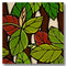 “HAWAIIAN BOTANICAL” SERIES BANYAN